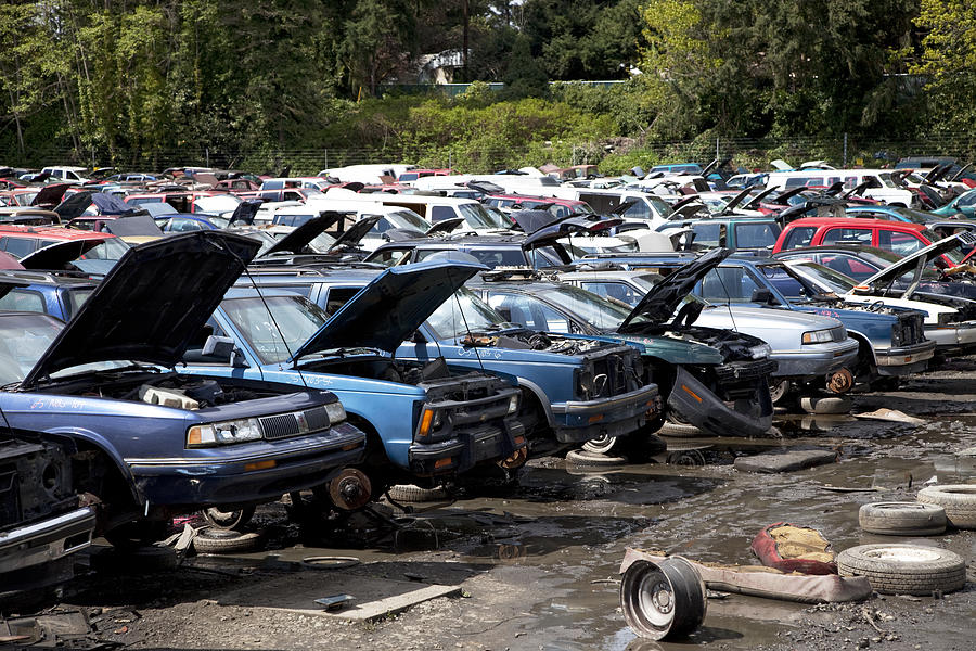 Automobile junkyard. Photograph by KingWu