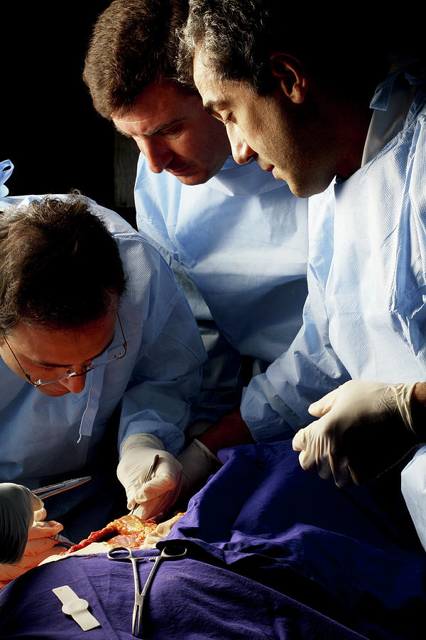 Autopsy Examination Photograph By Mauro Fermarielloscience Photo Library Fine Art America 9924