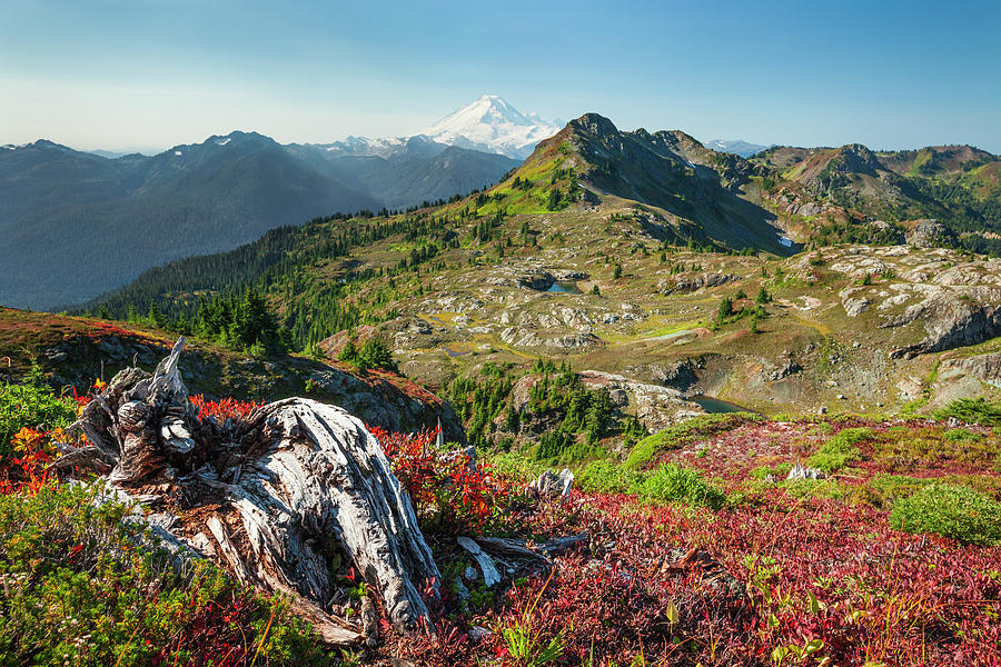 North Cascades National Park Photograph - Autum At Tomyhoi Meadows In North by Christopher Kimmel