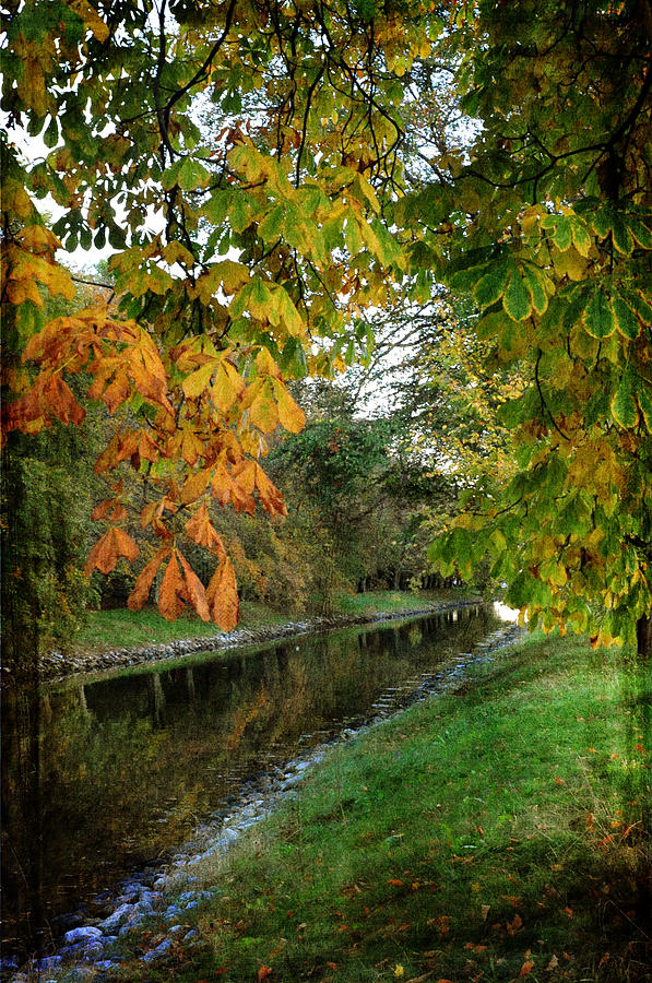 Autumn by the Canal Photograph by Randi Grace Nilsberg