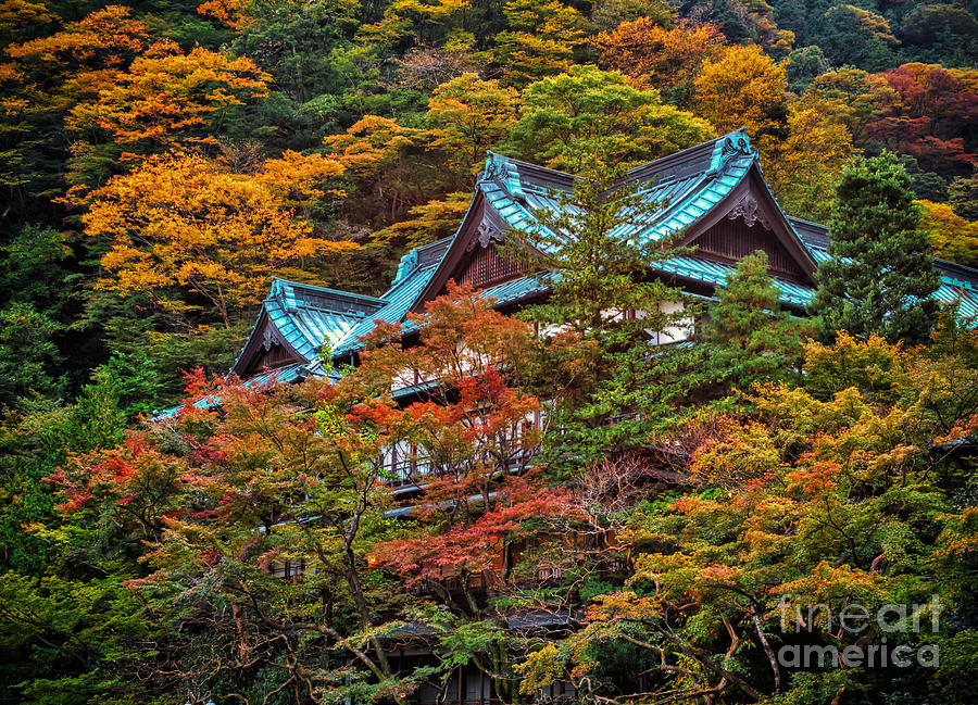 Autum in Japan Photograph by John Swartz