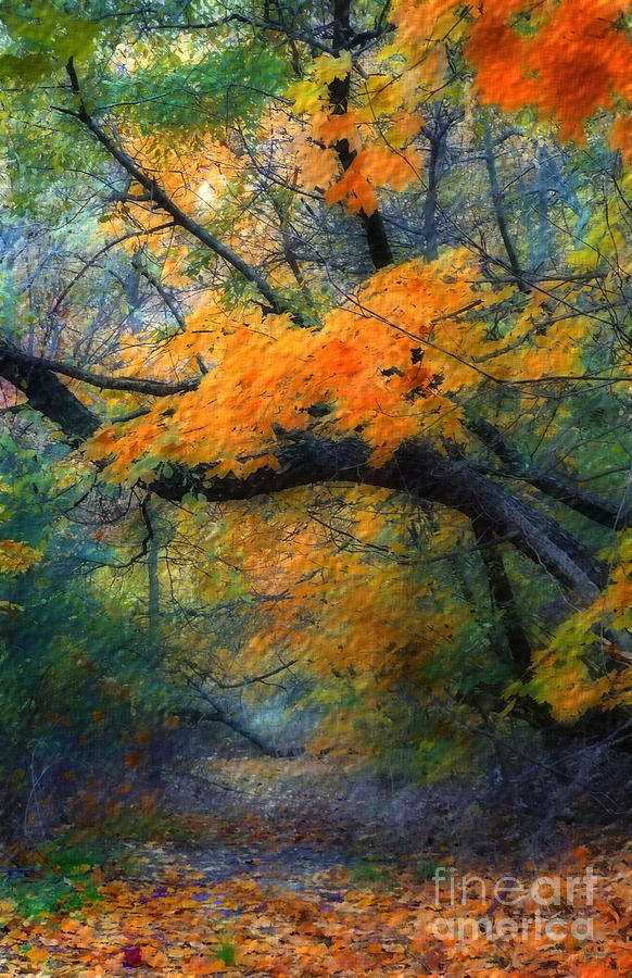 Fall Photograph - Autumn 4 by Jeff Breiman