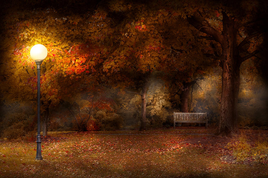 Autumn - A park bench Photograph by Mike Savad