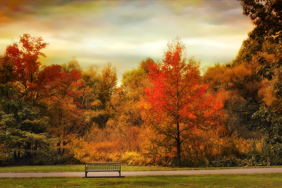 Fall Photograph - Autumn Ablaze by Jessica Jenney