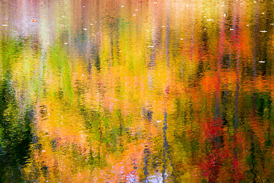 Autumn Abstract Photograph