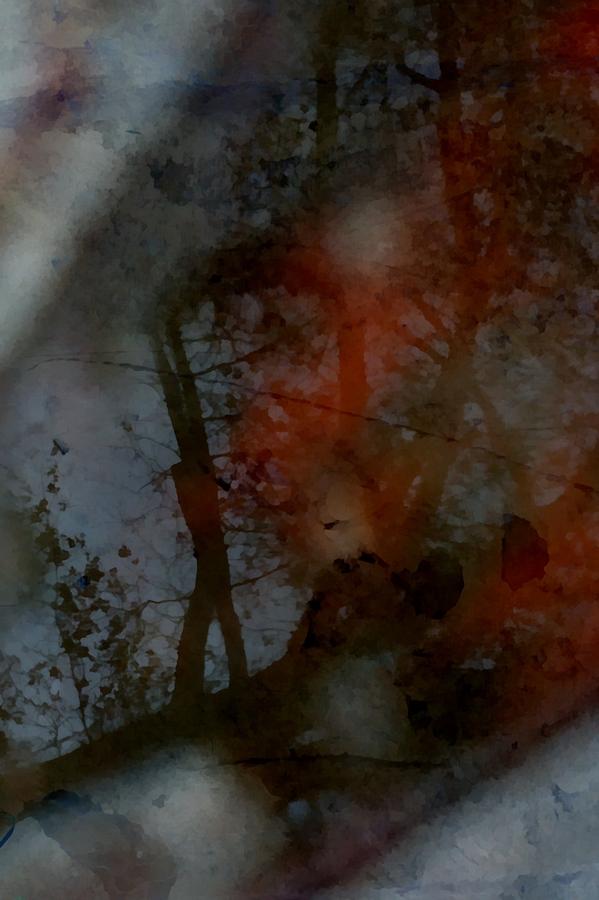 Autumn Abstract Photograph by Photographic Arts And Design Studio