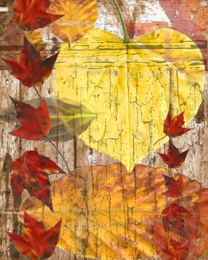 Fall Digital Art - Autumn Abstract by Sharon Marcella Marston