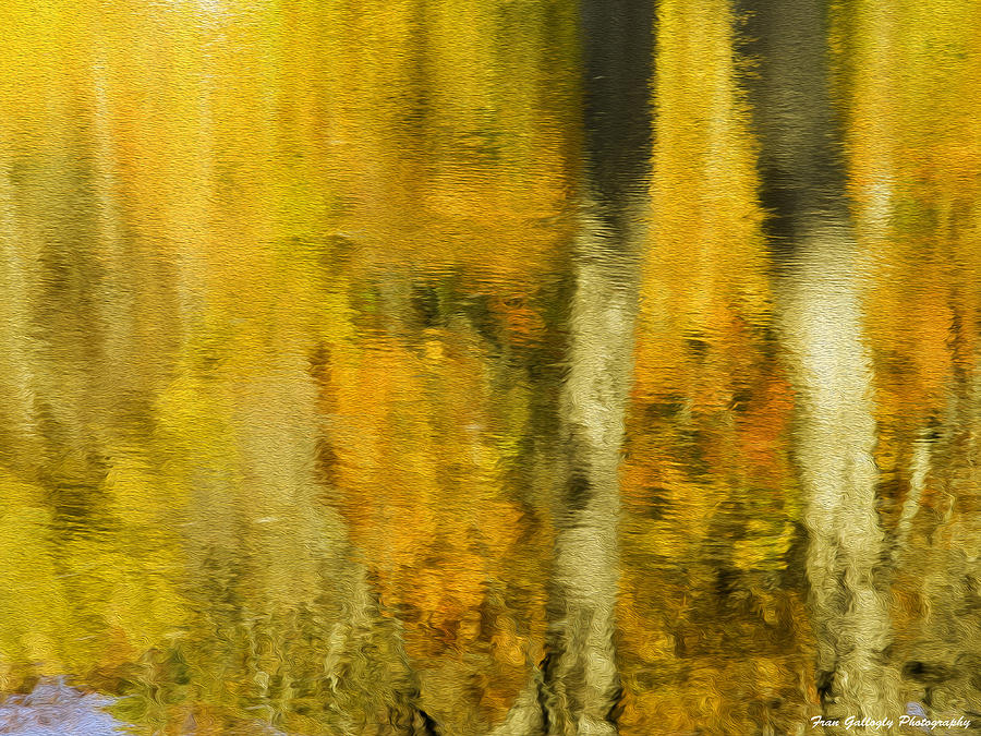 Autumn Abstraction Photograph by Fran Gallogly