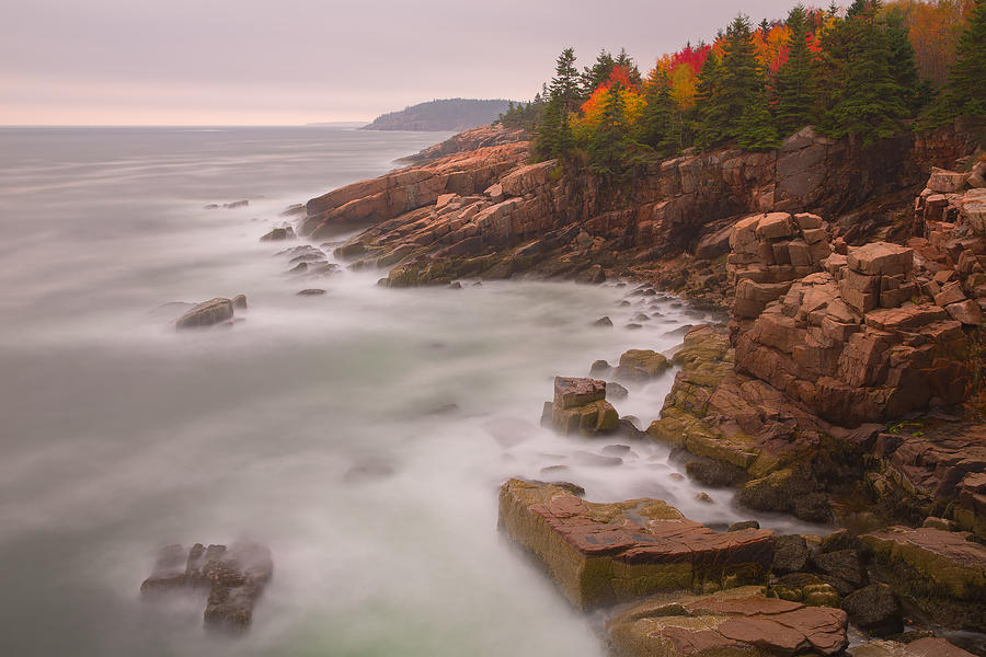 Autumn Acadia Photograph by Image by Michael Rickard