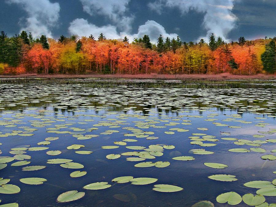 Autumn Across The Pond Photograph by Barbara S Nickerson