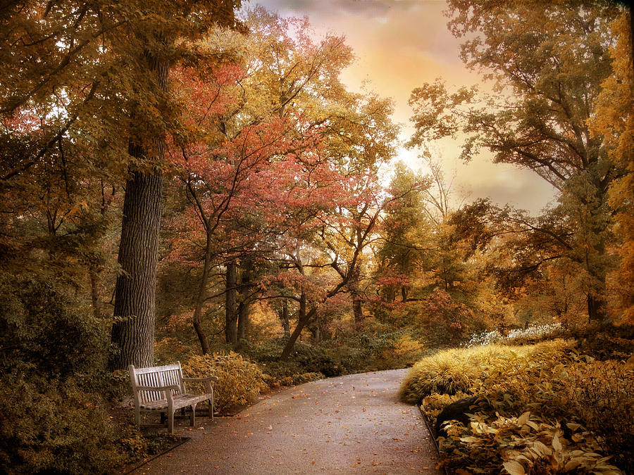 Autumn Aesthetic Photograph by Jessica Jenney | Fine Art America