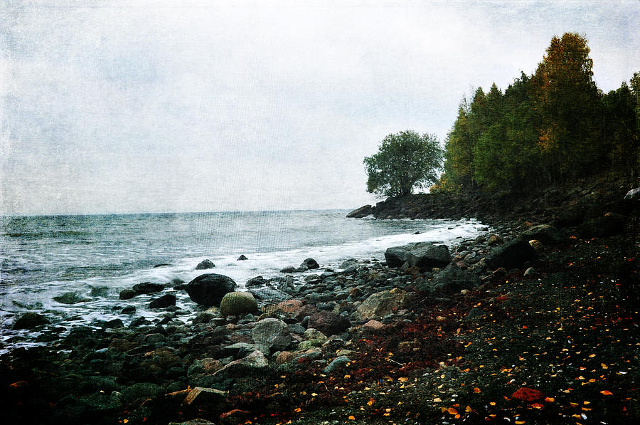 Autumn Afternoon by the Ocean Photograph by Randi Grace Nilsberg