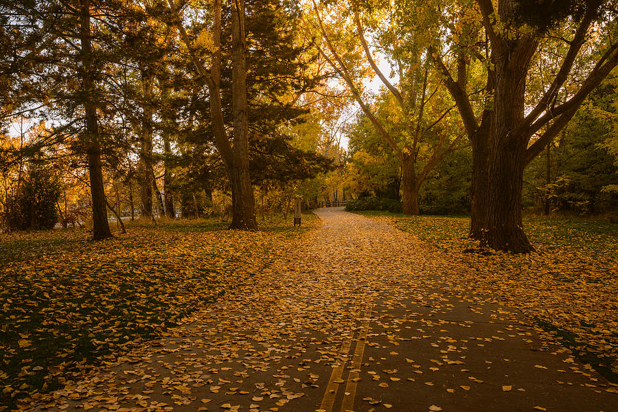 Autumn along Greenbelt Boise Idaho Photograph by Vishwanath Bhat
