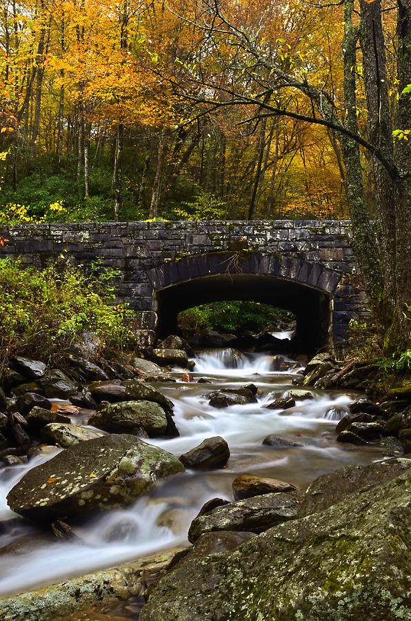 Autumn Along Newfound Gap Rd. Photograph by Eric Albright - Fine Art ...