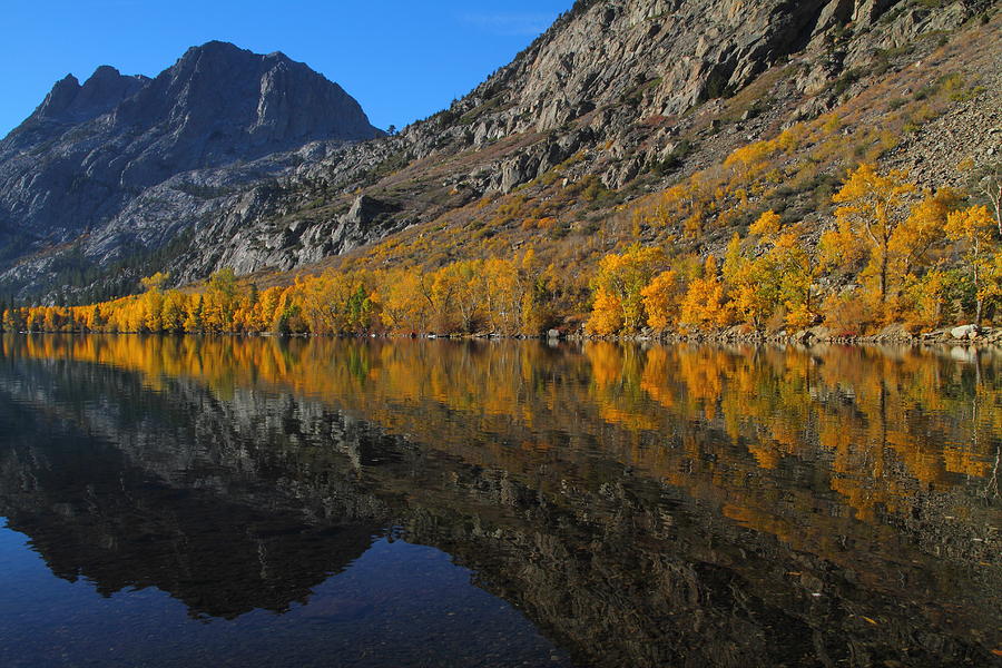 Autumn along Silver Lake in the Eastern Sierras Photograph by Jetson Nguyen