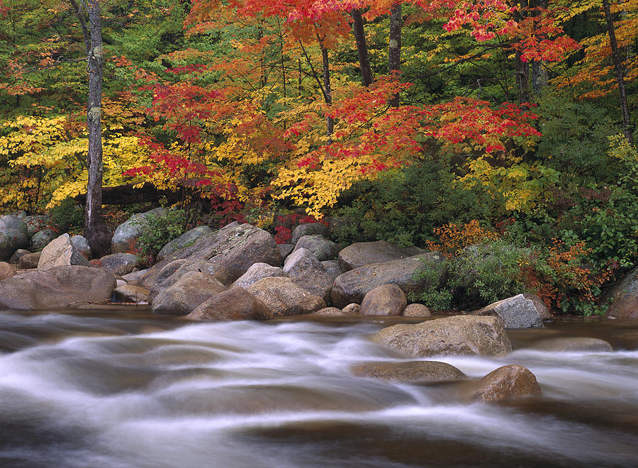 Autumn Along Swift River  Photograph by Tim Fitzharris