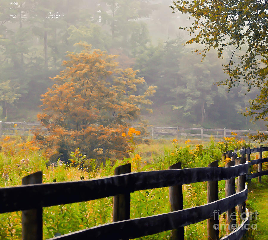 Tree Photograph - Autumn Along The Fence by Kerri Farley