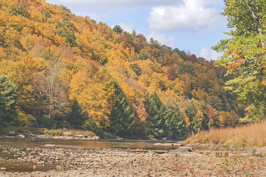 Clarion River Photograph - Autumn Along The River by Darlene Bell Clarion River Photograph - Autumn Along The River by Darlene Bell