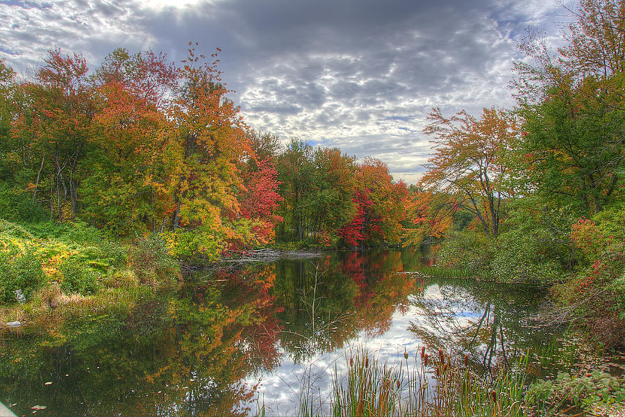 Fall Photograph - Autumn Along the River by Donna Doherty