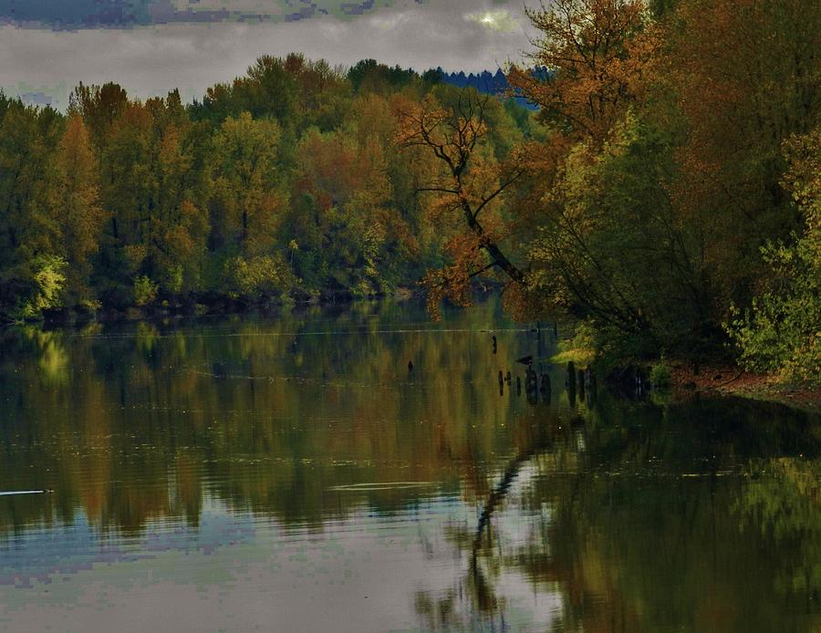 Autumn Along the Willamette  Photograph by Charles Lucas