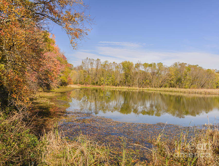 Fall Photograph - Autumn and Lake Conestee by Elvis Vaughn