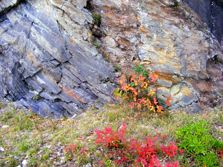 Autumn and Rocks Photograph by Duane McCullough