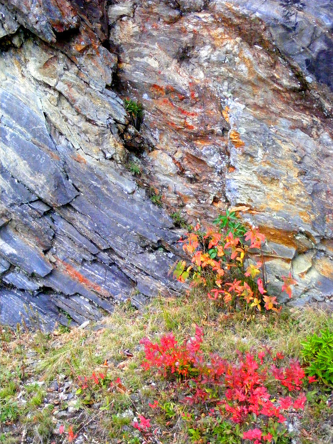 Autumn and Rocks Vertical Photograph by Duane McCullough