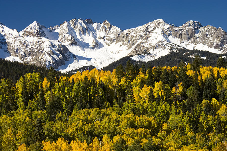 Autumn And Snow Covered Peaks North Photograph by Tom Vezo