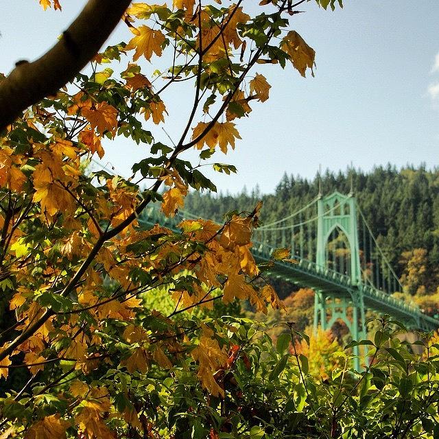Fall Photograph - Autumn And St. Johns Bridge by Mike Warner