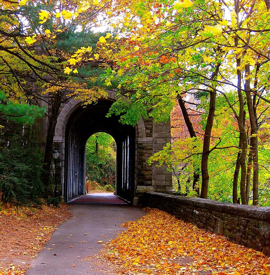 Autumn Archway Photograph by Ydania Ogando