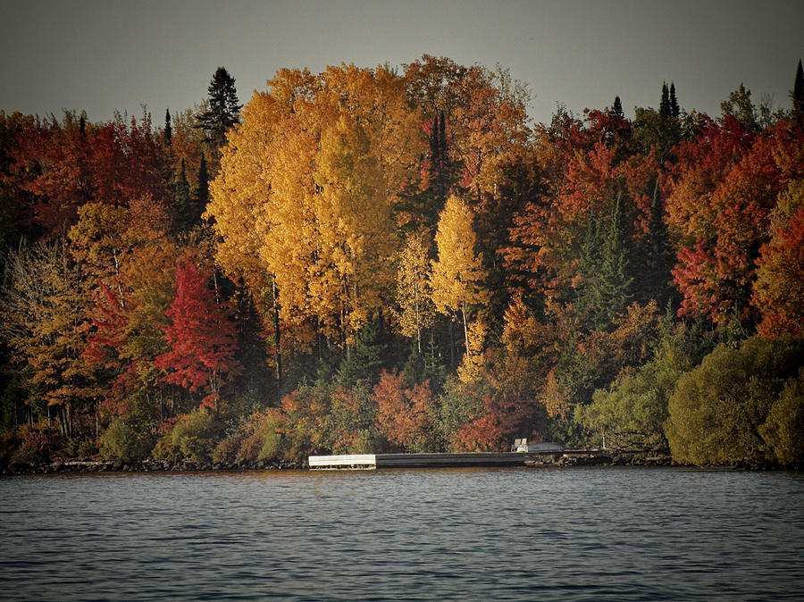 Autumn Arrives to Buffalo Bay Photograph by Thomas Young