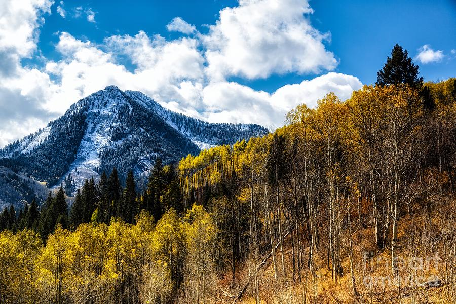 Autumn Aspens and Snow Photograph by Mitch Johanson - Fine Art America