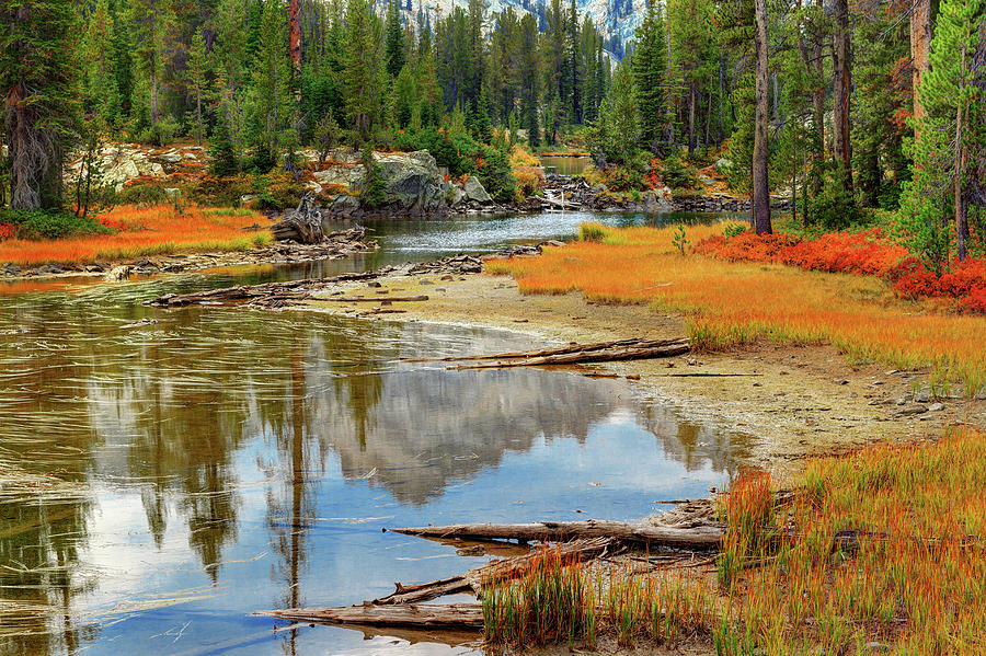 Autumn At Alice Lake In Sawtooth Photograph by Anna Gorin