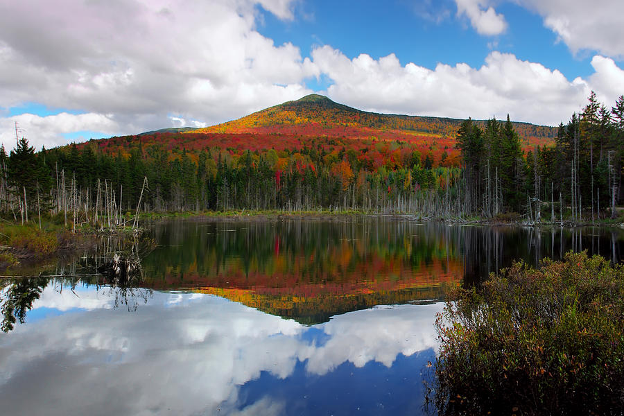 Fall Photograph - Autumn at Beaver Pond by White Mountain Images