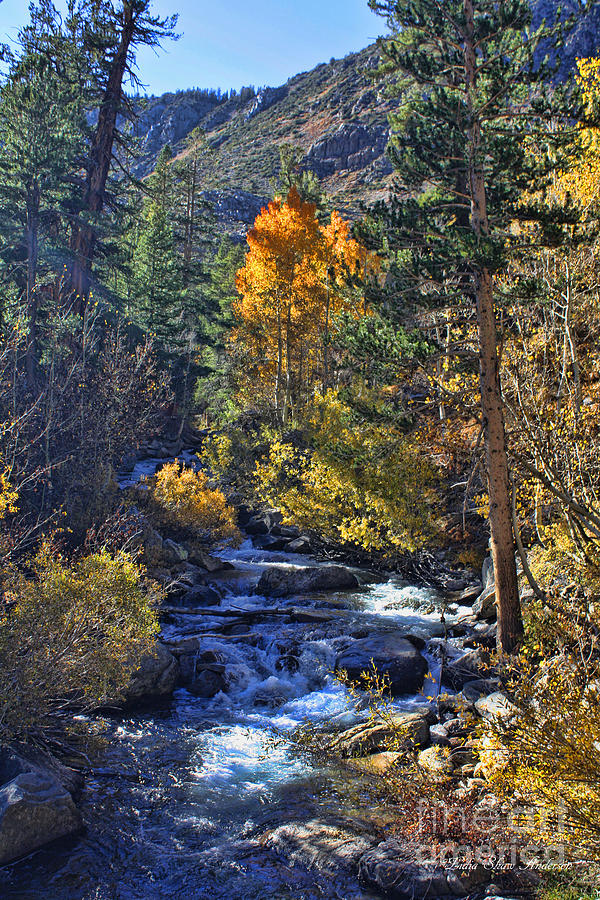 Fall Photograph - Autumn at Bishop Creek by Lidia Anderson
