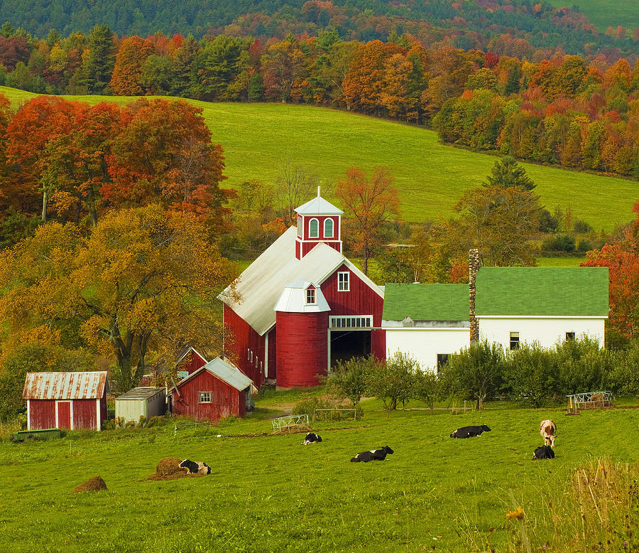 Autumn at Bogie Mountain Dairy Farm Photograph by John Vose