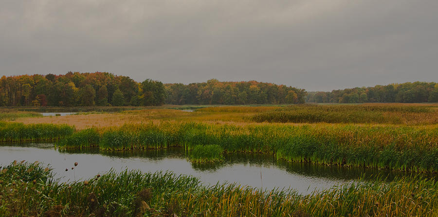 Autumn at Bombay Hook Photograph by Kathi Isserman