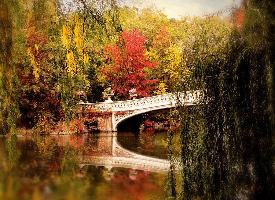 Tree Photograph - Autumn At Bow Bridge by Jessica Jenney