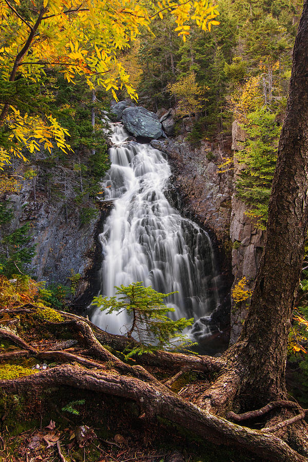 Autumn at Crystal Cascade Photograph by White Mountain Images