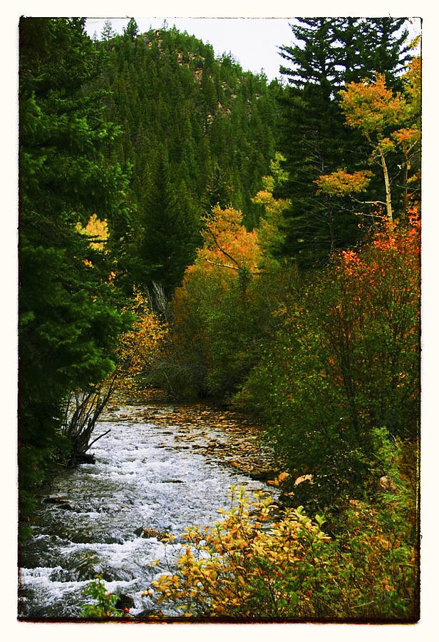 Colorado Rockies Photograph - Autumn at Deer Creek by Susan See