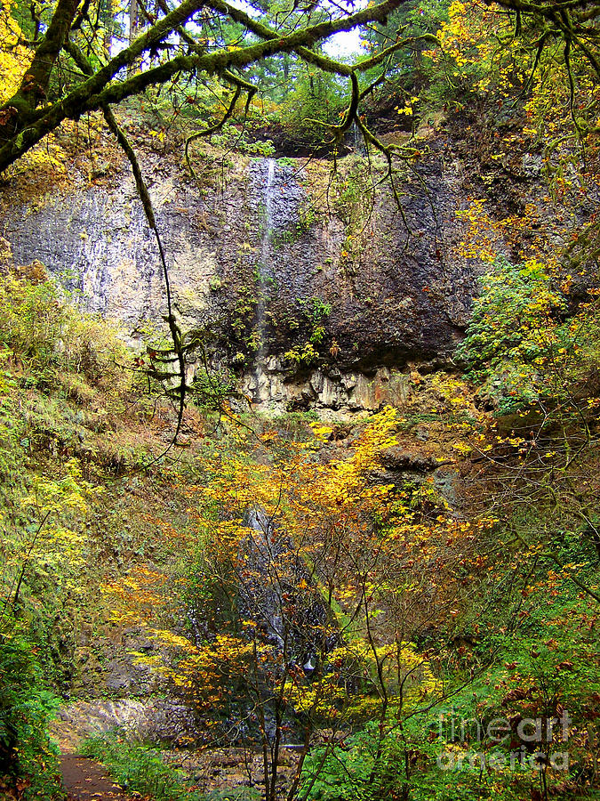 Autumn at Double Falls in Silver Creek State Park Photograph by Charles Robinson