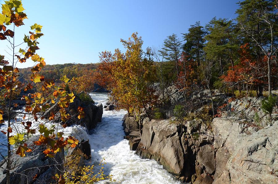 Autumn at Great Falls Photograph by Kathi Isserman