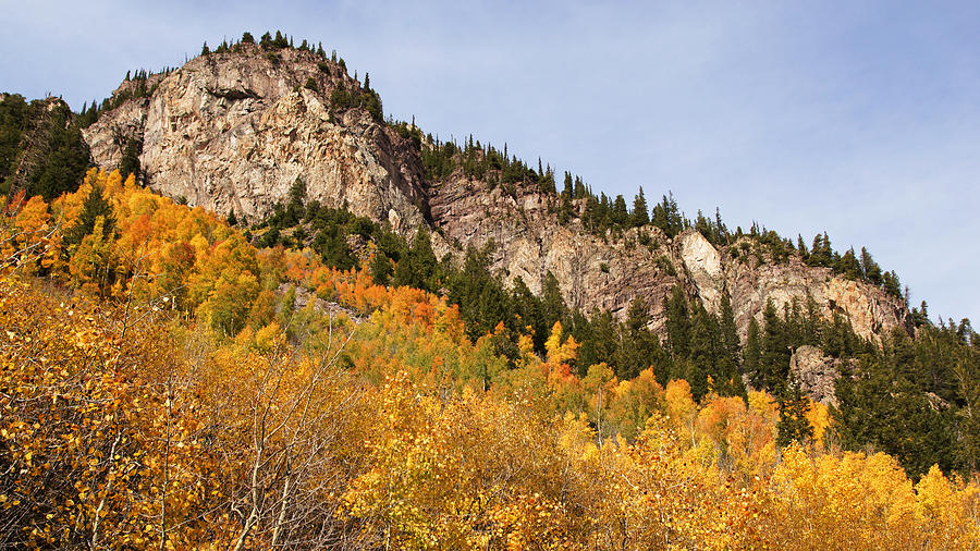 Autumn at Maroon Bells Wilderness Photograph by Daniel Woodrum
