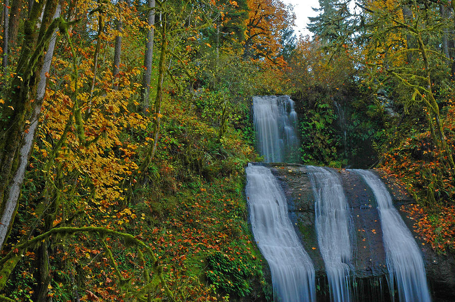 Fall Photograph - Autumn At McDowell Creek Falls by Nick Boren