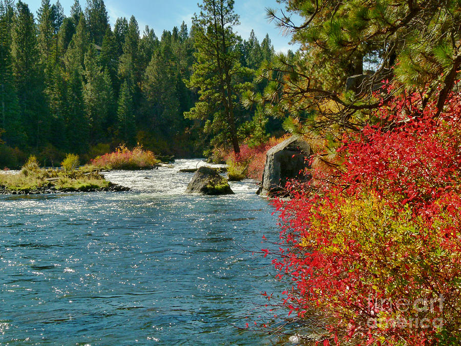 Autumn at Meadow Camp Photograph by Terry Dorvinen Autumn at Meadow Camp Photograph by Terry Dorvinen