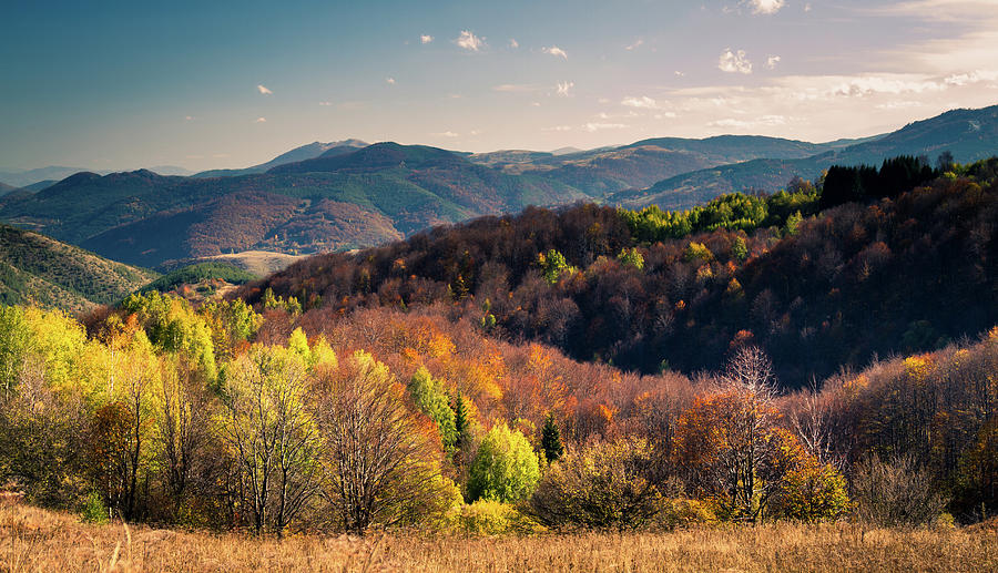 Autumn At Mountain Goc Photograph by Marko Cvejic