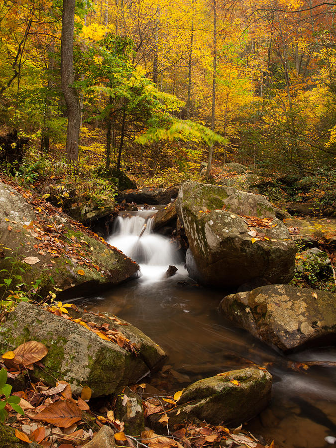Mountain Photograph - Autumn at Pearson Falls by Kelvin Taylor