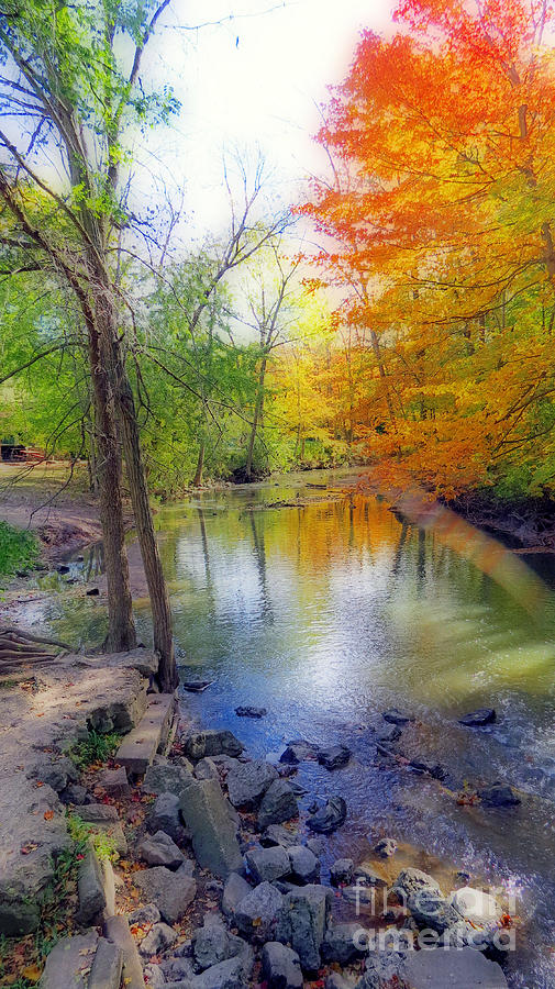 Autumn At Petrifying Springs Photograph by Kay Novy