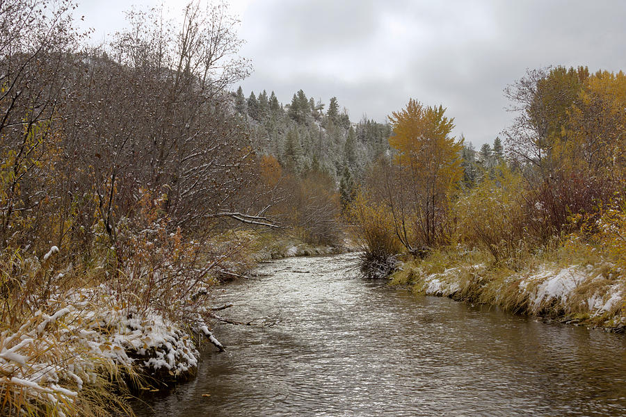Fall Photograph - Autumn at Prickly Pear Creek by Dana Moyer