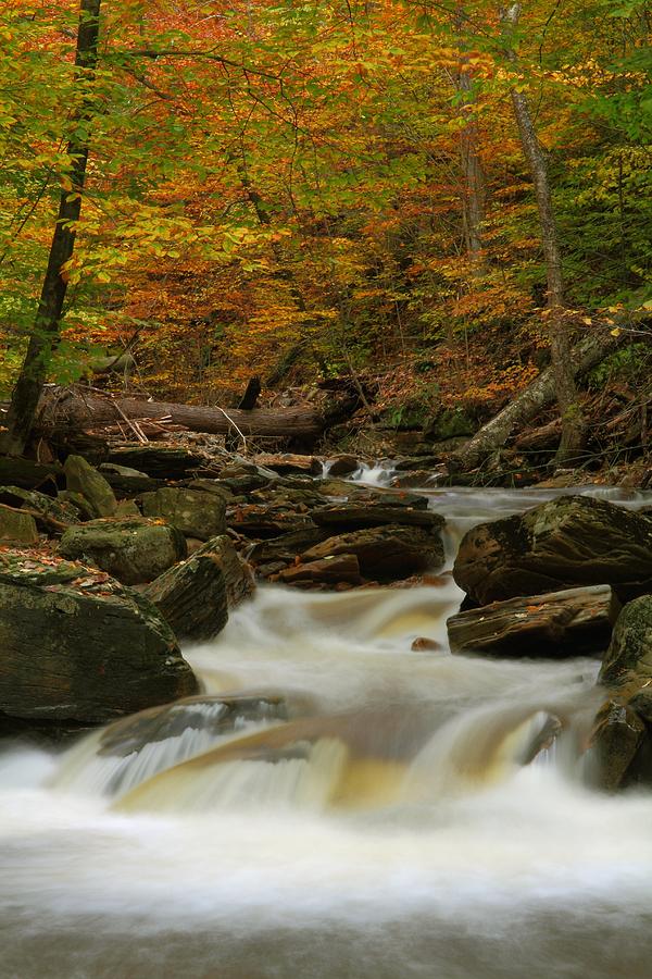 Waterfall Photograph - Autumn at Ricketts Glen State Park by Jetson Nguyen